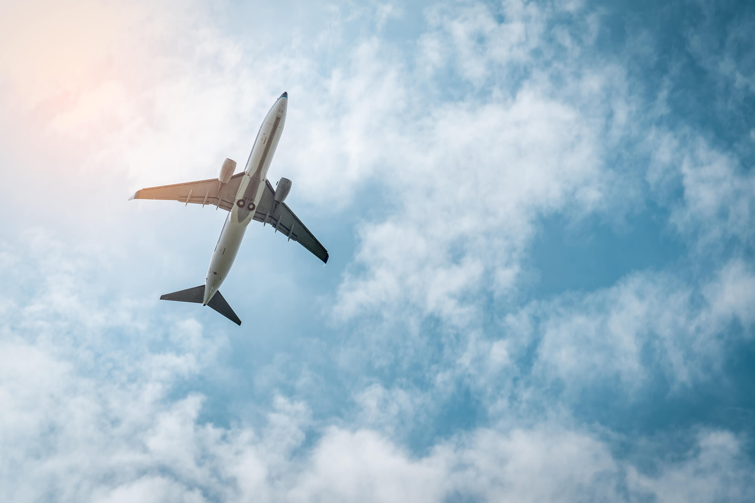 Meet Elevate Management Group: Rising to the Top Fast
